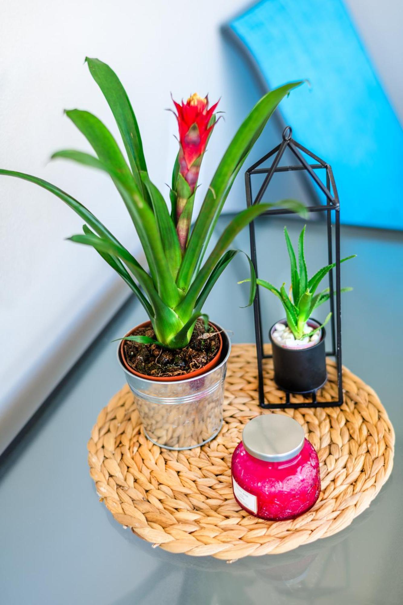 Sea Breeze Flat Apartman Kavála Szoba fotó